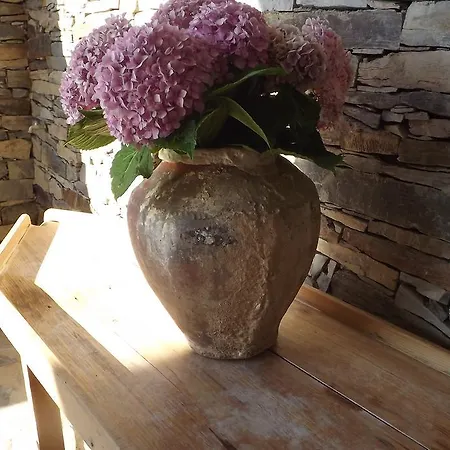 Casa Dos Xares Country house