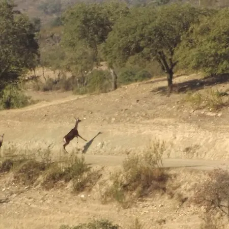 Casa Dos Xares カントリーハウス