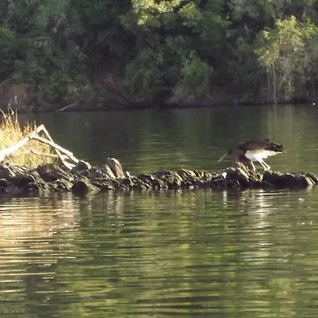 Летний дом Casa Dos Xares