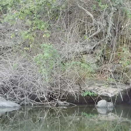 カントリーハウス Casa Dos Xares Rosmaninhal