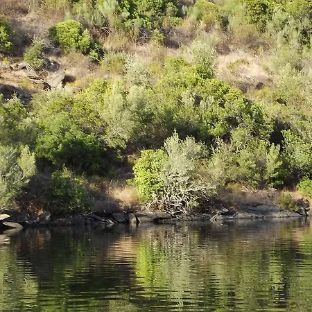 Летний дом Casa Dos Xares *