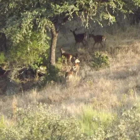 Casa Dos Xares カントリーハウス *