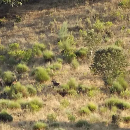 Casa Dos Xares * Rosmaninhal