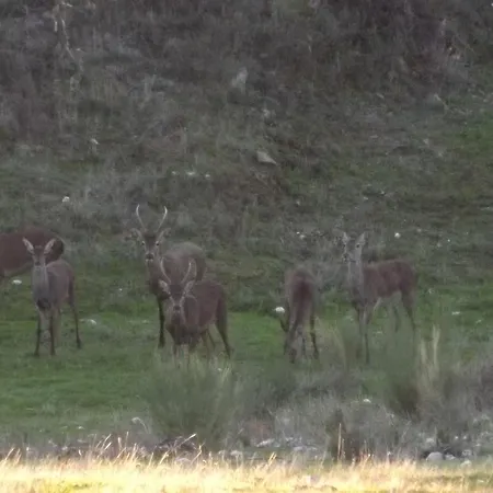 Casa Dos Xares Летний дом Rosmaninhal (Castelo Branco)