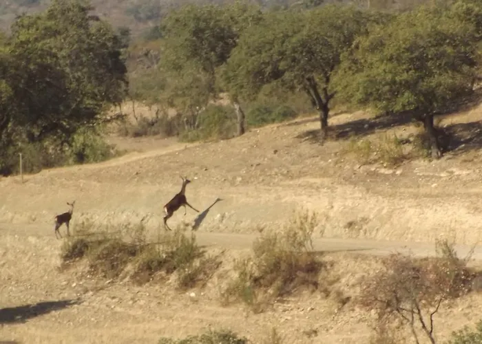 Casa Dos Xares Landhaus