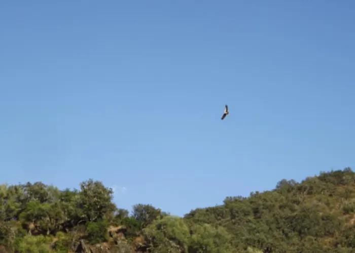 Casa Dos Xares Rosmaninhal (Castelo Branco)