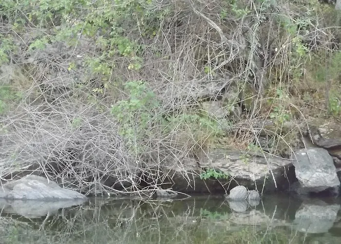 Landhaus Casa Dos Xares Rosmaninhal (Castelo Branco)