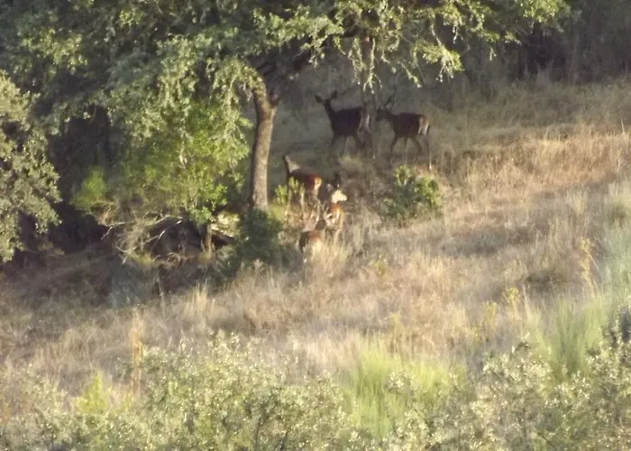 Casa Dos Xares Landhaus *
