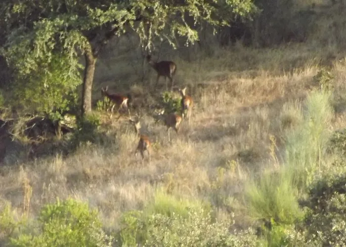 Landhaus Casa Dos Xares Rosmaninhal (Castelo Branco)