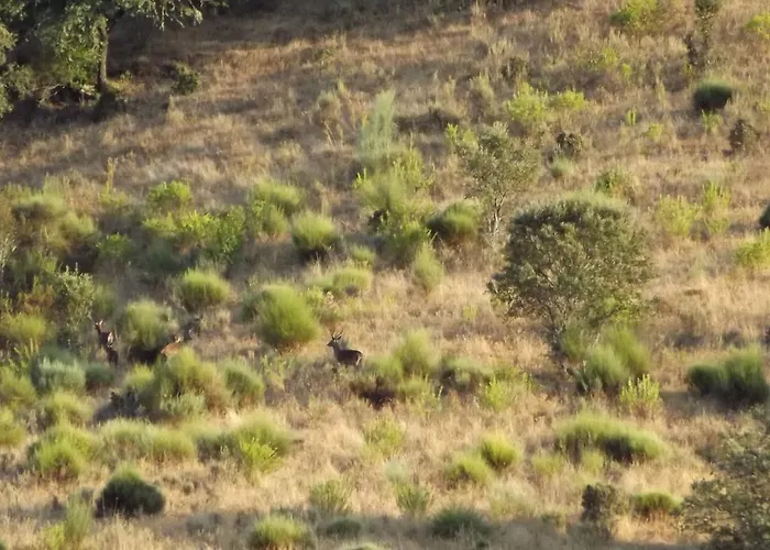 Casa Dos Xares * Rosmaninhal (Castelo Branco)