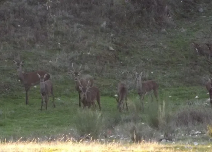 Casa Dos Xares Landhaus Rosmaninhal (Castelo Branco)